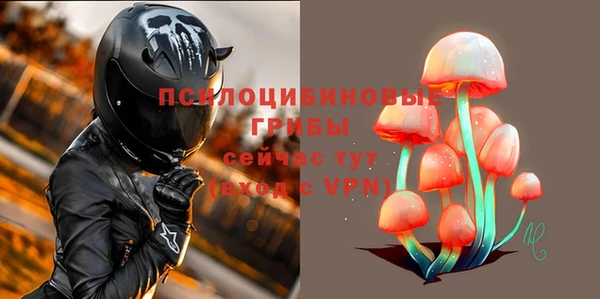 ECSTASY Магас