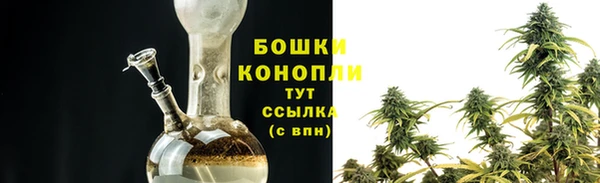ECSTASY Магас