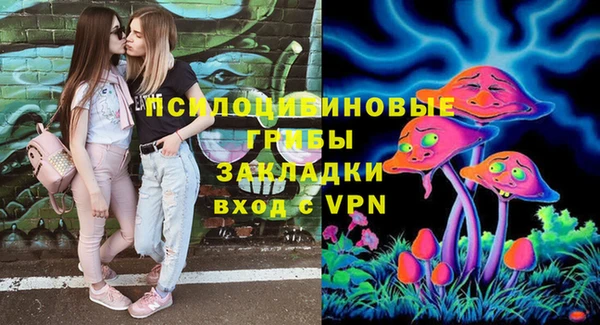 spice Липки