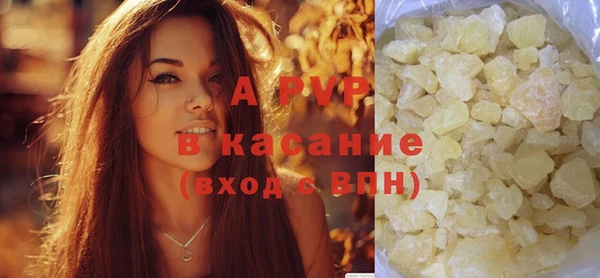 ECSTASY Магас