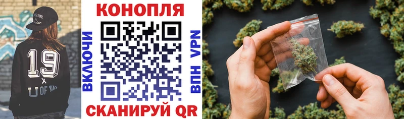 mega tor  Городище  Конопля гибрид 